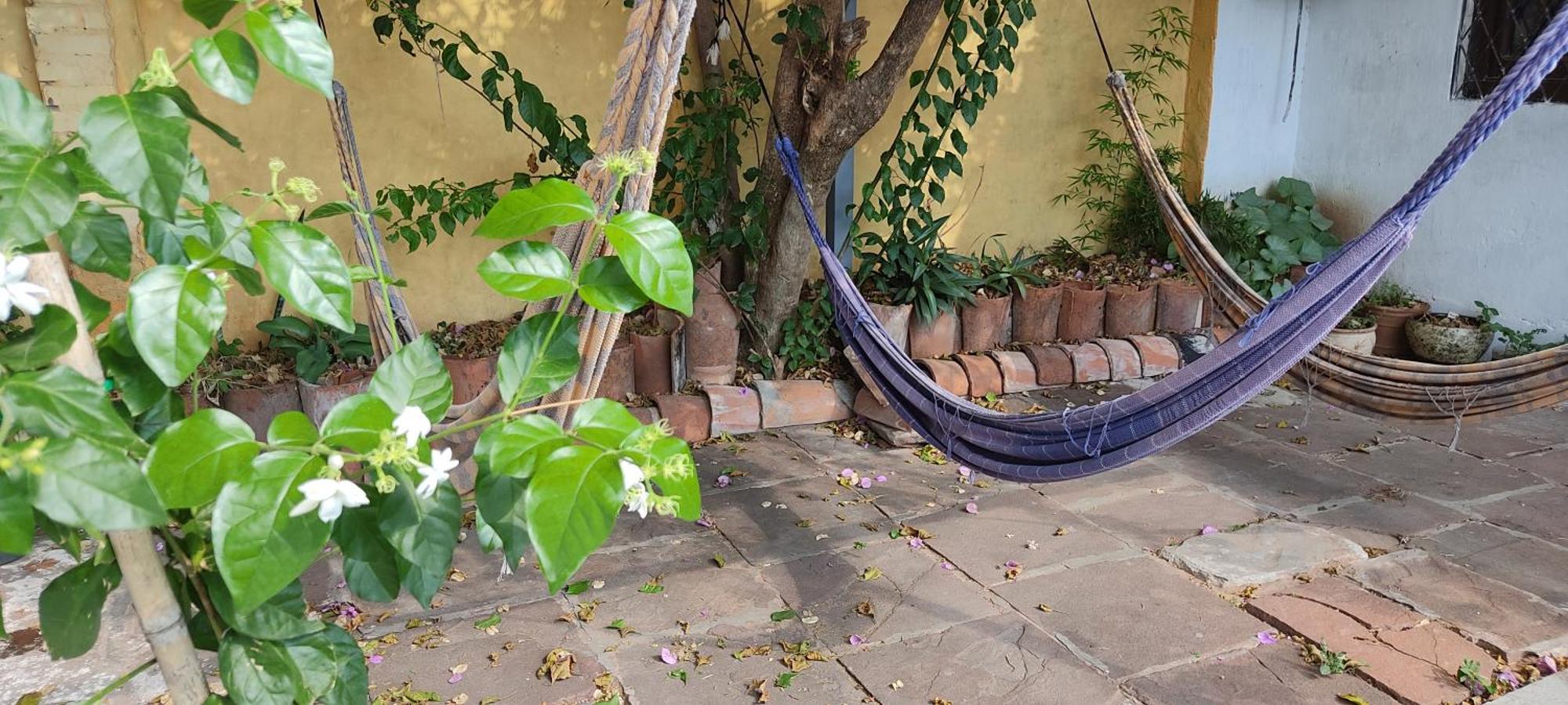 Mediterraneo Youth Hostel Asuncion Kültér fotó